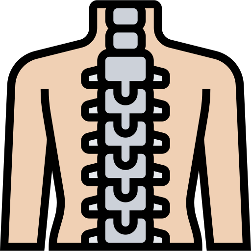 الام العمود الفقري